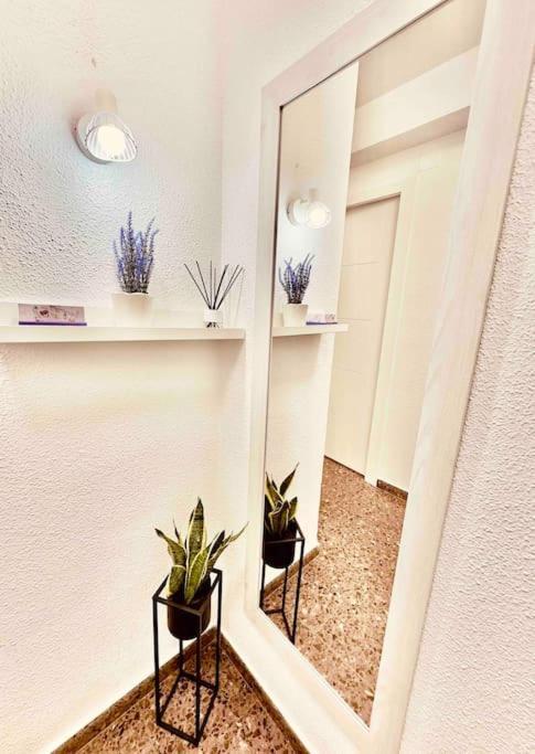 Sagunto Citadella Apartment מראה חיצוני תמונה